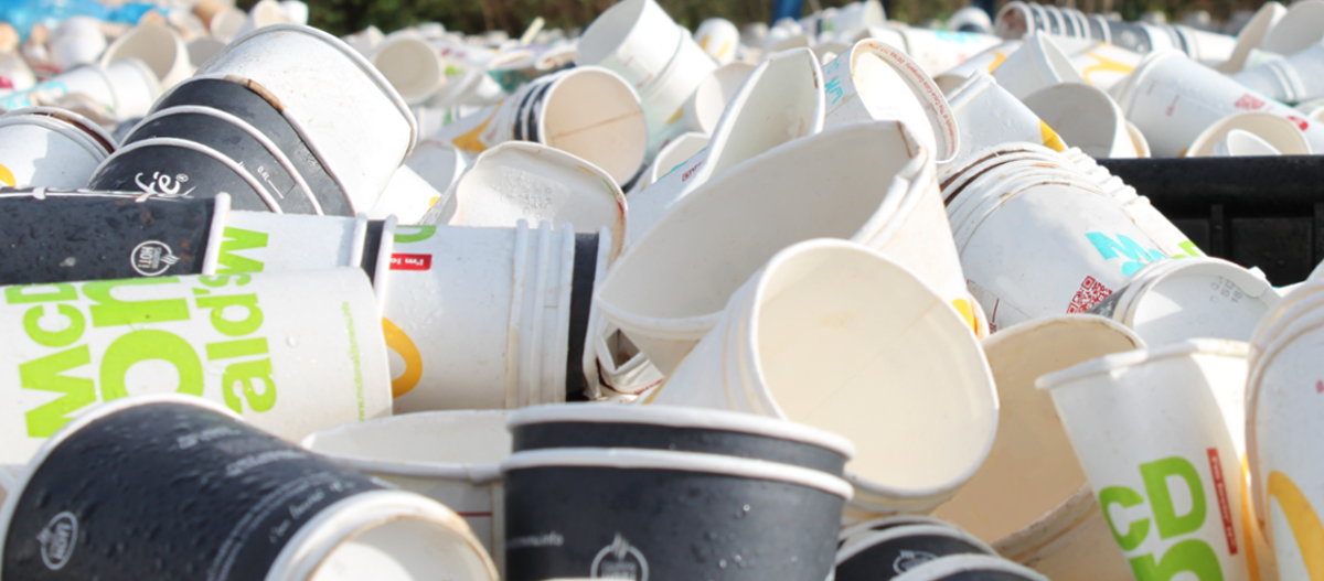 Paper cups ready to be recycled through the Simply Cups scheme