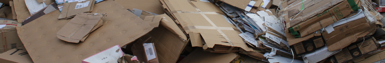 cardboard waste