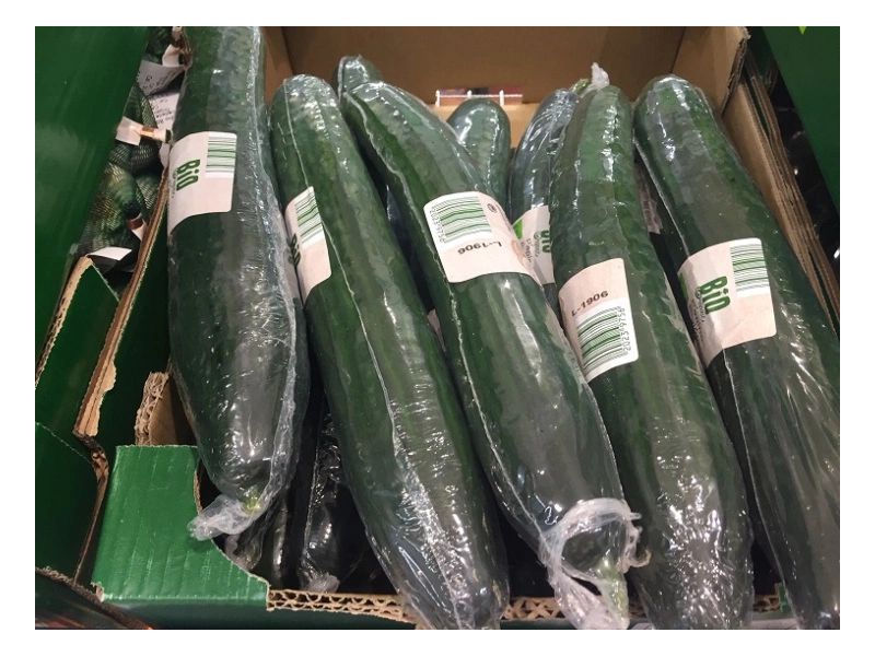Cucumber wrapped in plastic in a supermarket